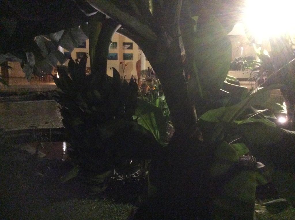 Villa Costa Plenty Sanur Exteriör bild
